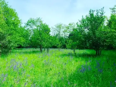 Teren de vanzare Cornu de Jos